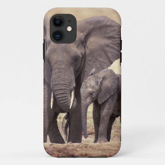 アフリカ タンザニア タランギーレ国立公園 2 Case-Mate iPhoneケース (裏面)