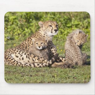 アフリカ タンザニア チーターの親子 2 マウスパッド
