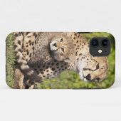アフリカ タンザニア チーターの親子 2 Case-Mate iPhoneケース (裏面(横))