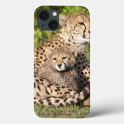 アフリカ タンザニア チーターの親子 2 Case-Mate iPhoneケース (裏面)