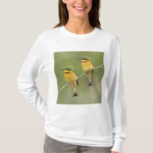 アフリカ タンザニア マニャラのヒメハチクイ Tシャツ