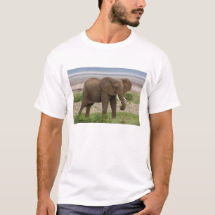 アフリカ タンザニア マニャラ湖国立公園の象 Tシャツ