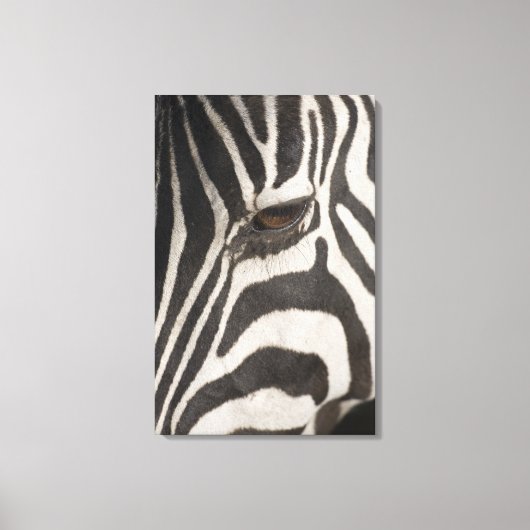 「アフリカ、タンザニア、ンゴロンゴロ保全地域」 キャンバスプリント (正面)