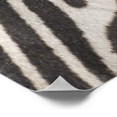 「アフリカ、タンザニア、ンゴロンゴロ保全地域」 ポスター (角)