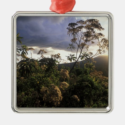 アフリカ タンザニア ンゴロンゴロ保全地域 メタルオーナメント (正面)