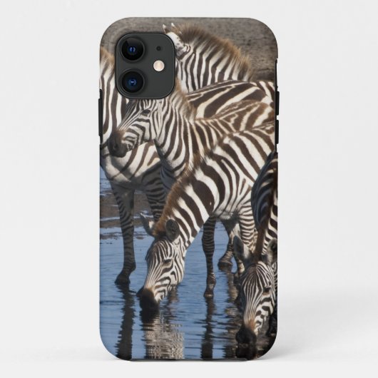 アフリカ タンザニア ンドゥトゥのシマウマ Case-Mate iPhoneケース (裏面)