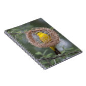 アフリカ。タンザニア。女性の黒首織機 ノートブック (右側)