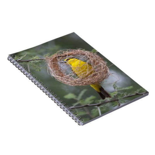 アフリカ。タンザニア。女性の黒首織機 ノートブック (右側)