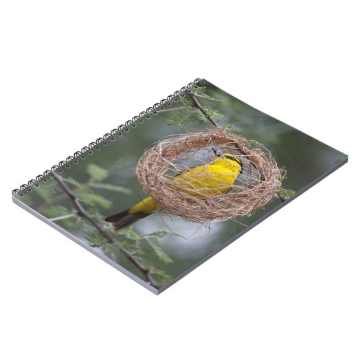 アフリカ。タンザニア。女性の黒首織機 ノートブック (左側)