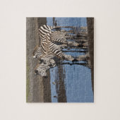 アフリカ。タンザニア。Ndutuでジブラスを飲む ジグソーパズル (縦)