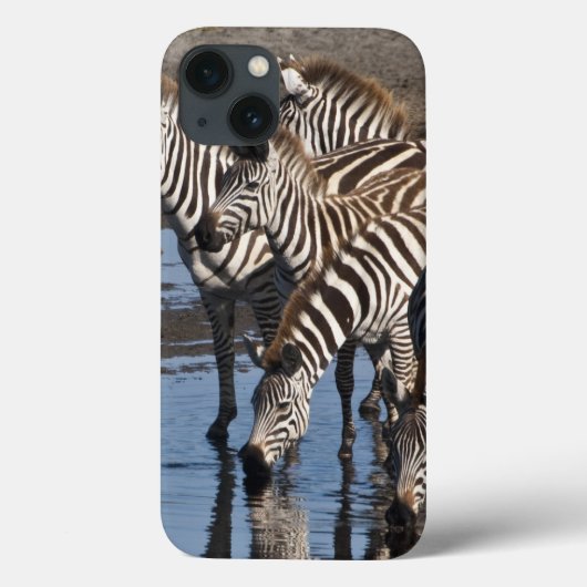 アフリカ。タンザニア。Ndutuで飲むシマウマ Case-Mate iPhoneケース (裏面)