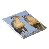 アフリカ。タンザニア。Ndutuの秘書の鳥 ノートパッド (アングル)