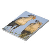 アフリカ。タンザニア。Ndutuの秘書の鳥 ノートパッド (回転)