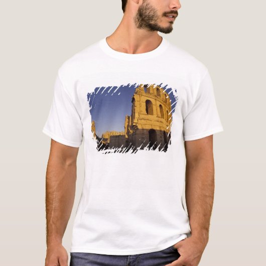 アフリカ、チュニジア、エル・ジェム。ローマの Tシャツ (正面)