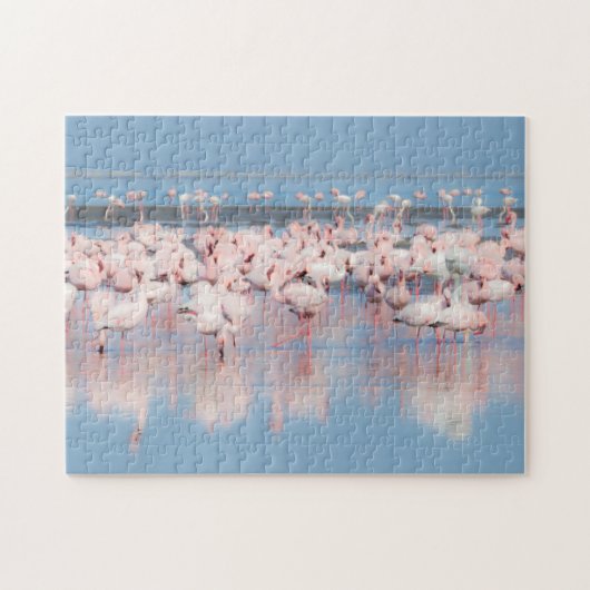 アフリカ、ナミビア、ウォルビス湾 ジグソーパズル (横)