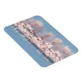 アフリカ、ナミビア、ウォルビス湾 マグネット (右側)