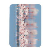 アフリカ、ナミビア、ウォルビス湾 マグネット (縦)