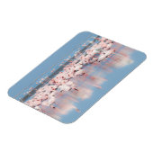 アフリカ、ナミビア、ウォルビス湾 マグネット (左側)