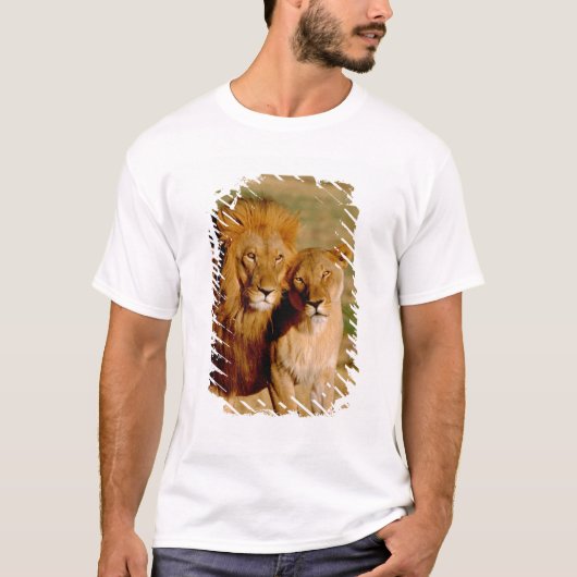 アフリカ、ナミビア、オコニジマ ライオンとメスライオン Tシャツ (正面)