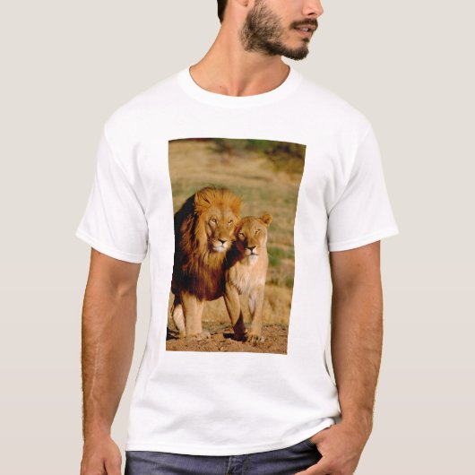 アフリカ ナミビア オコンジーマ ライオン オスメス Tシャツ (正面)