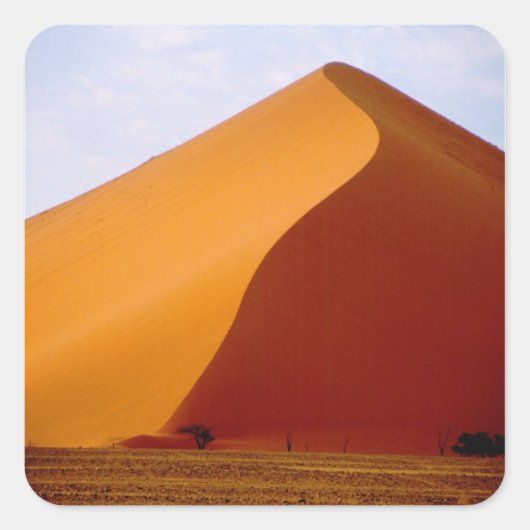 アフリカ,ナミビア,ナウクルフト国立公園, 2 スクエアシール (正面)