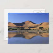 アフリカ、ナミビア、ナミブ国立公園、ソススヴレイ2 ポストカード (正面/裏面)