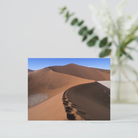 アフリカ,ナミビア,ナミブ・ナウクルフト国立公園, 2 ポストカード (スタンド正面)