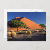 アフリカ，ナミビア，ナミブ – ナウクルフ公園，ソスススブリ ポストカード (正面/裏面)