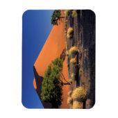 アフリカ，ナミビア，ナミブ – ナウクルフ公園，ソスススブリ マグネット (縦)