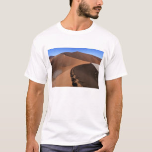アフリカ, ナミビア, ナミブ・ナウクロフト国立公園, 2 Tシャツ