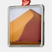 アフリカ、ナミビア、ノークルフト国立公園、2 メタルオーナメント (左)