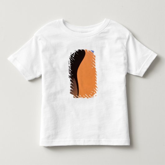 アフリカ, ナミビア, 夕方の砂丘の光 トドラーTシャツ (正面)