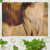 アフリカ、ナミビア、奥島。ライオンとライオン キッチンタオル (折り畳み)