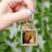 アフリカ、ナミビア、奥島。ライオンとライオン キーホルダー (手)