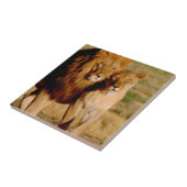 アフリカ、ナミビア、奥島。ライオンとライオン タイル (側面)