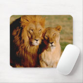 アフリカ、ナミビア、奥島。ライオンとライオン マウスパッド (マウス)