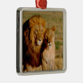 アフリカ、ナミビア、奥島。ライオンとライオン メタルオーナメント (右)