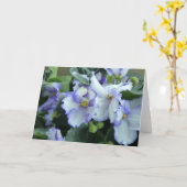 アフリカ・バイオレット・カード カード (黄色い花)