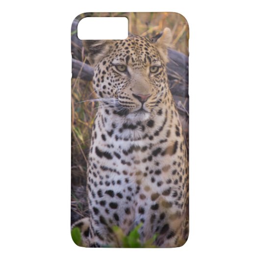 アフリカ、ボツワナのヒョウ Case-Mate iPhoneケース (裏面)
