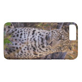 アフリカ、ボツワナのヒョウ Case-Mate iPhoneケース (裏面(横))