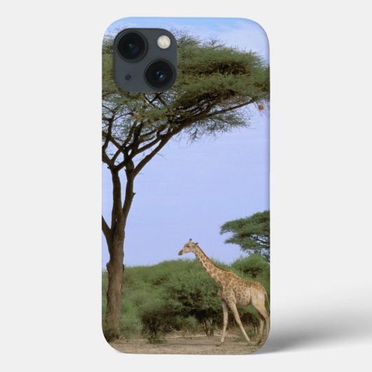 アフリカ、ボツワナのOkavangoのデルタ。 南 Case-Mate iPhoneケース (裏面)