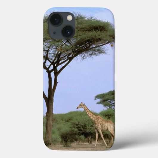 アフリカ、ボツワナのOkavangoのデルタ。 南 Case-Mate iPhoneケース (裏面)