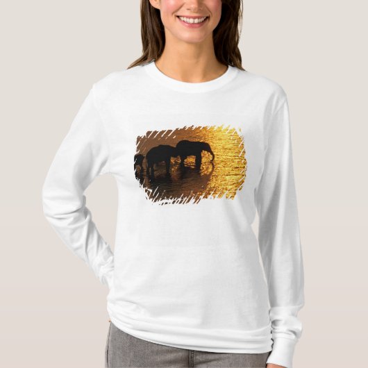 アフリカ ボツワナ オカバンゴデルタ Tシャツ (正面)