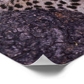 アフリカ、ボツワナ、オカンゴデルタ、野生ヒョウ。2 ポスター (角)