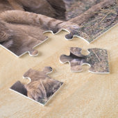 アフリカ、ボツワナ、オカヴァンゴデルタ。ライオンズ ジグソーパズル (側面)