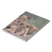 アフリカ、ボツワナ、オカヴァンゴデルタ。ライオンズ ノートパッド (回転)