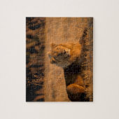 アフリカ、ボツワナ、オカヴァンゴデルタ。ライオン（パンテラ） ジグソーパズル (縦)