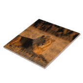 アフリカ、ボツワナ、オカヴァンゴデルタ。ライオン（パンテラ） タイル (側面)