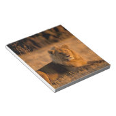 アフリカ、ボツワナ、オカヴァンゴデルタ。ライオン（パンテラ） ノートパッド (アングル)