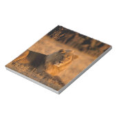 アフリカ、ボツワナ、オカヴァンゴデルタ。ライオン（パンテラ） ノートパッド (回転)